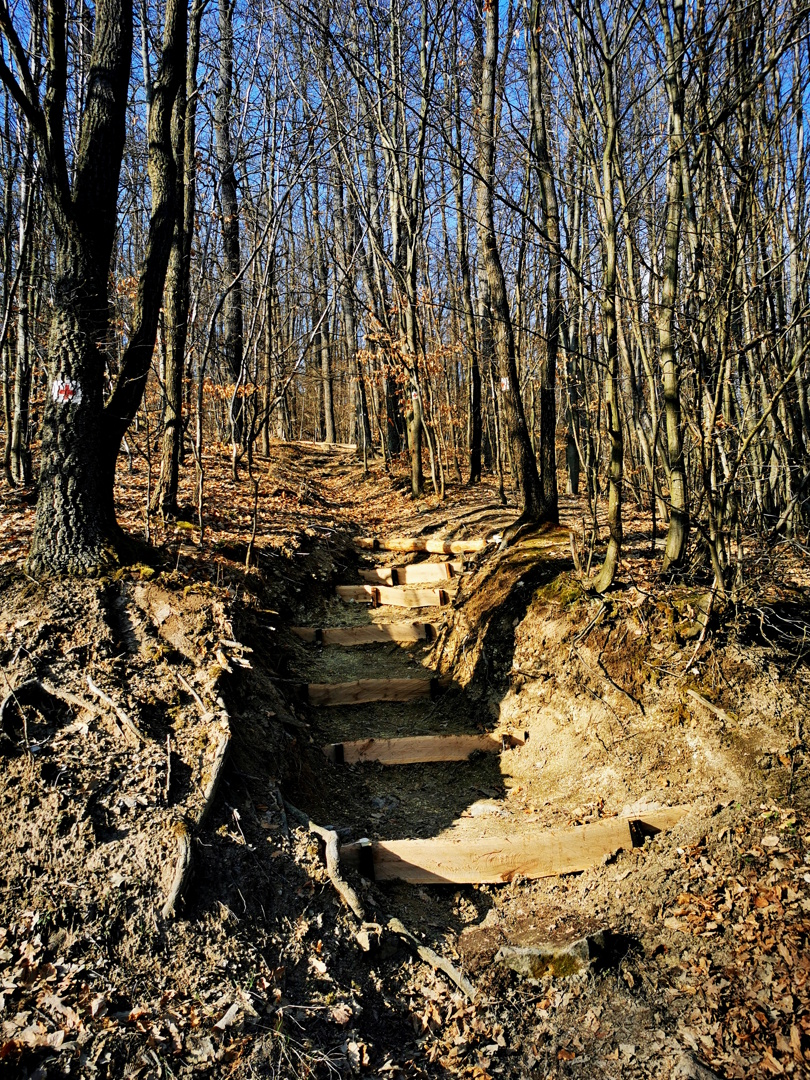 Az új lépcső akkor még a p+en_MTSZ_1080.jpg